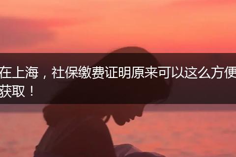 在上海，社保缴费证明原来可以这么方便获取！