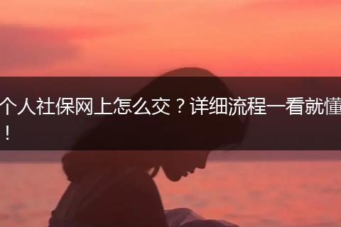个人社保网上怎么交？详细流程一看就懂！