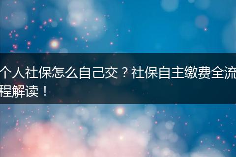 个人社保怎么自己交？社保自主缴费全流程解读！