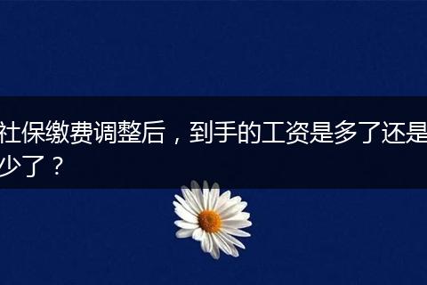 社保缴费调整后，到手的工资是多了还是少了？