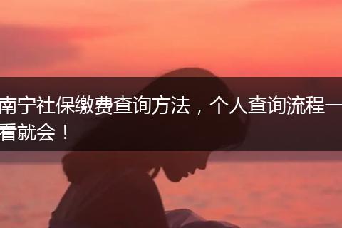 南宁社保缴费查询方法，个人查询流程一看就会！