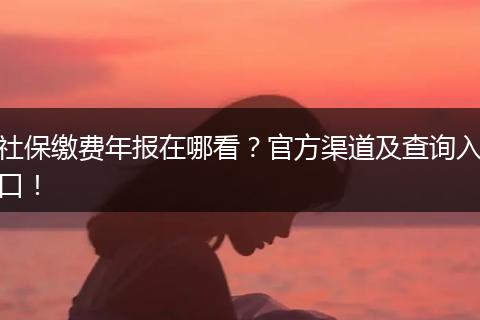 社保缴费年报在哪看？官方渠道及查询入口！