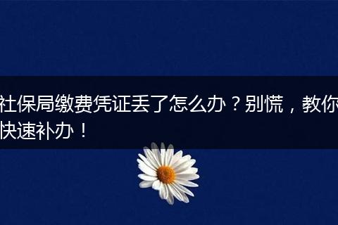 社保局缴费凭证丢了怎么办？别慌，教你快速补办！
