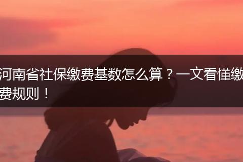 河南省社保缴费基数怎么算？一文看懂缴费规则！
