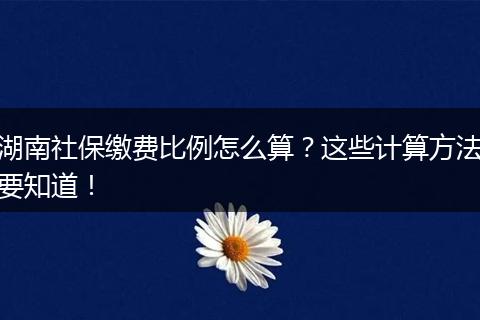 湖南社保缴费比例怎么算？这些计算方法要知道！