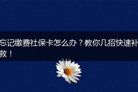 忘记缴费社保卡怎么办？教你几招快速补救！