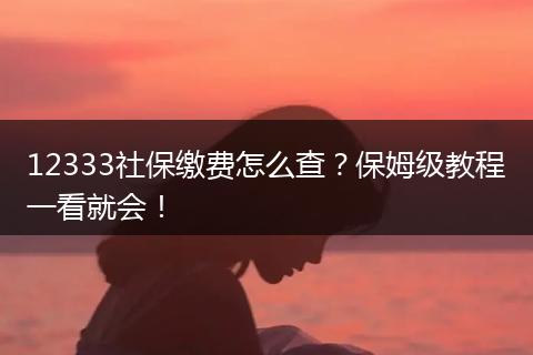 12333社保缴费怎么查？保姆级教程一看就会！