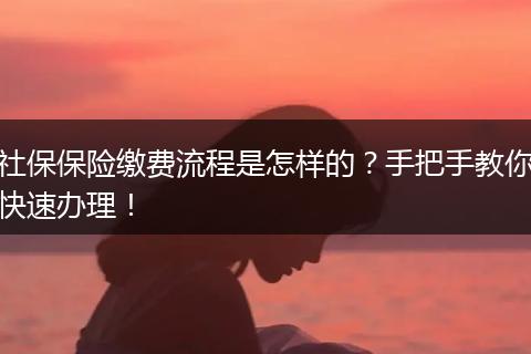 社保保险缴费流程是怎样的？手把手教你快速办理！