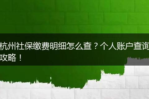 杭州社保缴费明细怎么查？个人账户查询攻略！