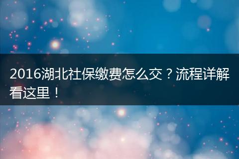 2016湖北社保缴费怎么交？流程详解看这里！