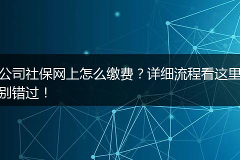 公司社保网上怎么缴费？详细流程看这里别错过！