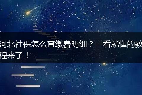 河北社保怎么查缴费明细？一看就懂的教程来了！