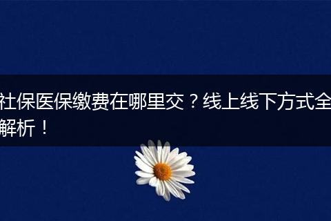 社保医保缴费在哪里交？线上线下方式全解析！