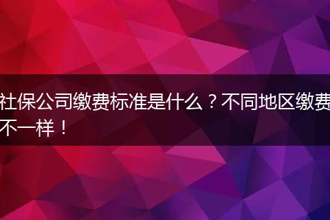 社保公司缴费标准是什么？不同地区缴费不一样！