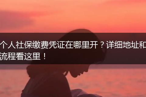个人社保缴费凭证在哪里开？详细地址和流程看这里！