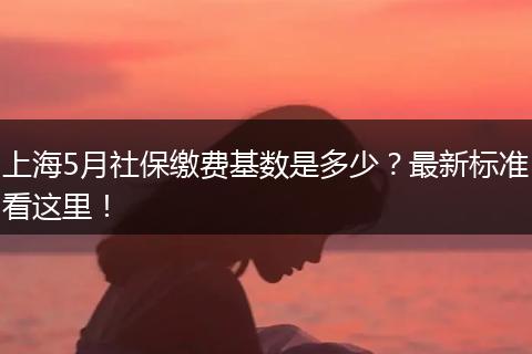 上海5月社保缴费基数是多少？最新标准看这里！