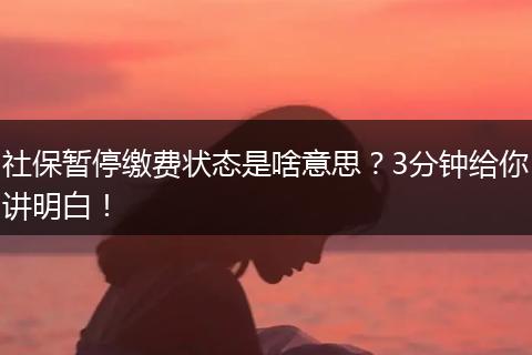 社保暂停缴费状态是啥意思？3分钟给你讲明白！