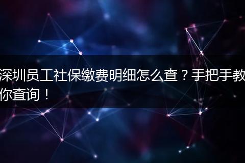 深圳员工社保缴费明细怎么查？手把手教你查询！
