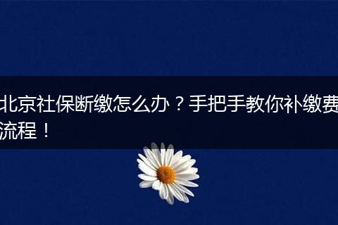 北京社保断缴怎么办？手把手教你补缴费流程！