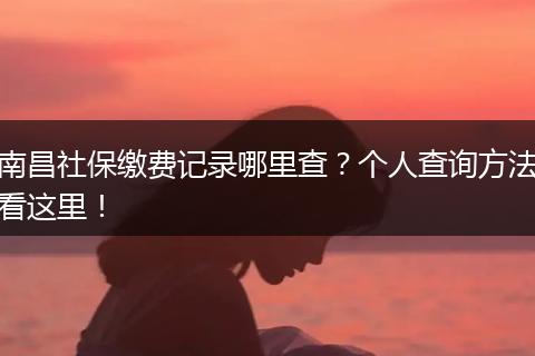 南昌社保缴费记录哪里查？个人查询方法看这里！