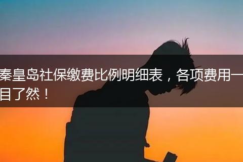 秦皇岛社保缴费比例明细表，各项费用一目了然！