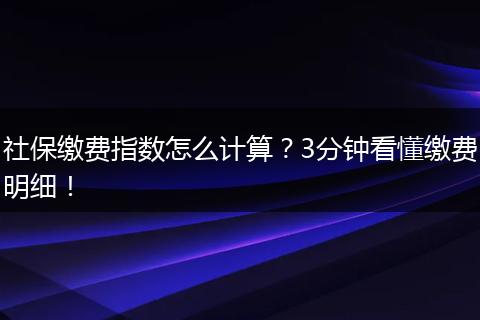 社保缴费指数怎么计算？3分钟看懂缴费明细！