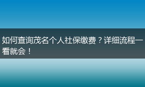 如何查询茂名个人社保缴费？详细流程一看就会！