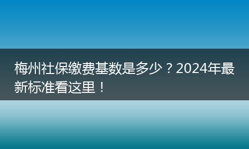 梅州社保缴费基数是多少？2024年最新标准看这里！