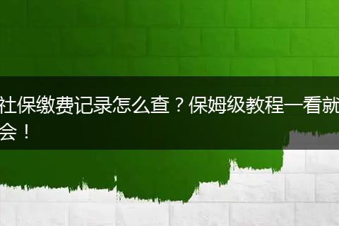 社保缴费记录怎么查？保姆级教程一看就会！
