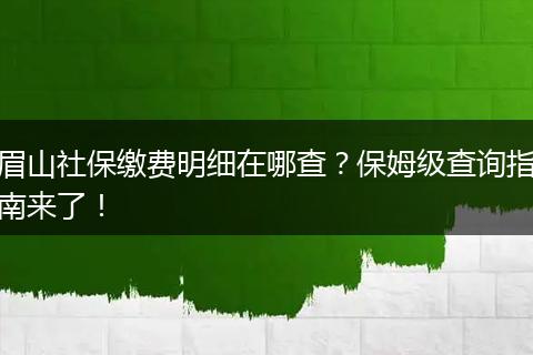 眉山社保缴费明细在哪查？保姆级查询指南来了！
