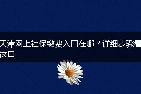 天津网上社保缴费入口在哪？详细步骤看这里！