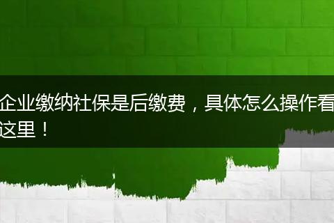 企业缴纳社保是后缴费，具体怎么操作看这里！