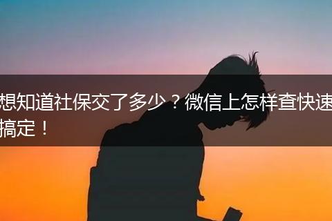 想知道社保交了多少？微信上怎样查快速搞定！