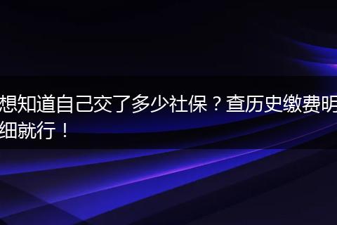 想知道自己交了多少社保？查历史缴费明细就行！