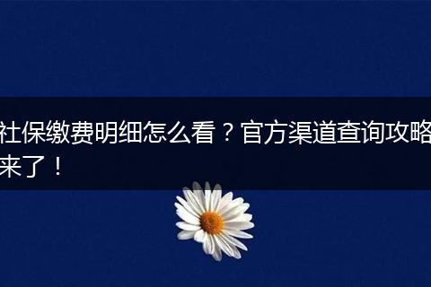 社保缴费明细怎么看？官方渠道查询攻略来了！