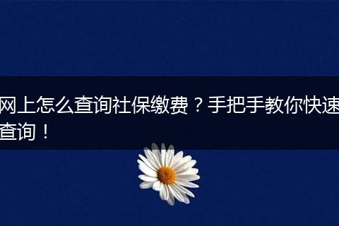 网上怎么查询社保缴费？手把手教你快速查询！