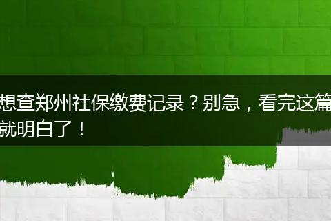 想查郑州社保缴费记录？别急，看完这篇就明白了！