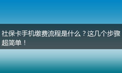 社保卡手机缴费流程是什么？这几个步骤超简单！
