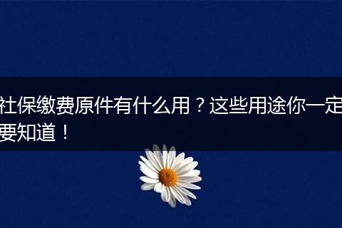社保缴费原件有什么用？这些用途你一定要知道！