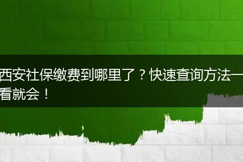 西安社保缴费到哪里了？快速查询方法一看就会！