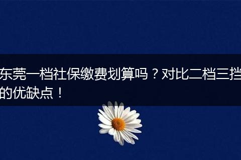 东莞一档社保缴费划算吗？对比二档三挡的优缺点！