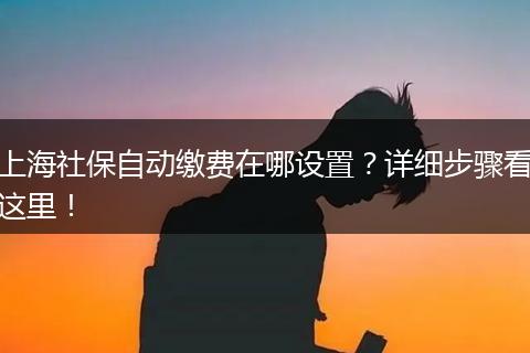 上海社保自动缴费在哪设置？详细步骤看这里！