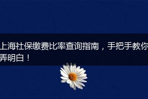 上海社保缴费比率查询指南，手把手教你弄明白！