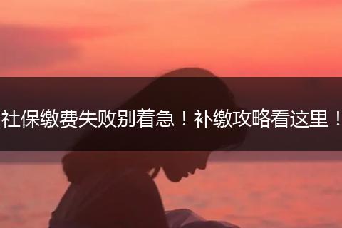 社保缴费失败别着急！补缴攻略看这里！