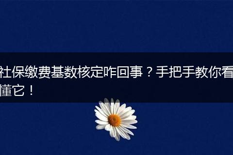 社保缴费基数核定咋回事？手把手教你看懂它！