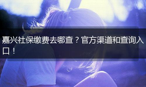 嘉兴社保缴费去哪查？官方渠道和查询入口！