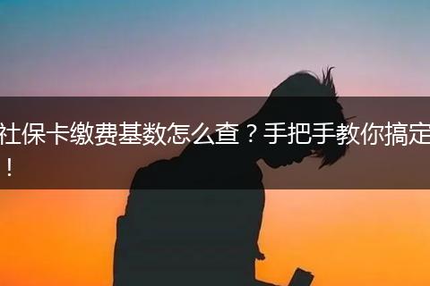社保卡缴费基数怎么查？手把手教你搞定！