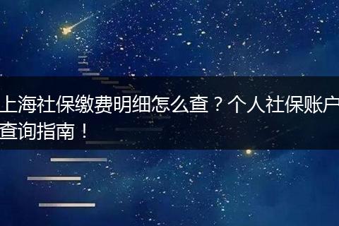 上海社保缴费明细怎么查？个人社保账户查询指南！