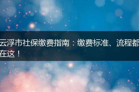 云浮市社保缴费指南：缴费标准、流程都在这！