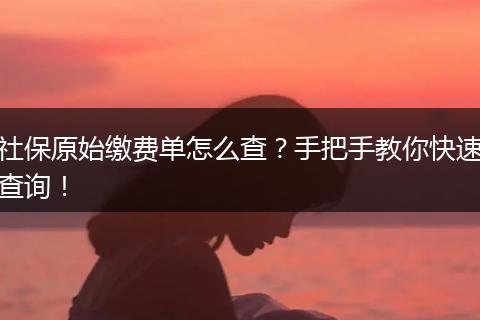 社保原始缴费单怎么查？手把手教你快速查询！